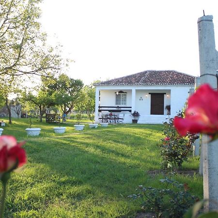 "Per Mik" Cottage In Vineyard Shkoder Bagian luar foto