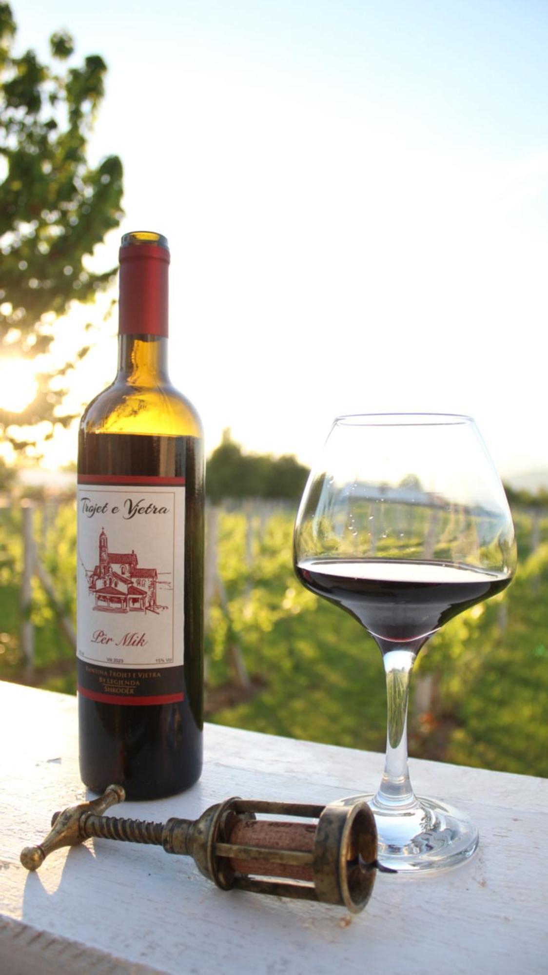 "Per Mik" Cottage In Vineyard Shkoder Bagian luar foto