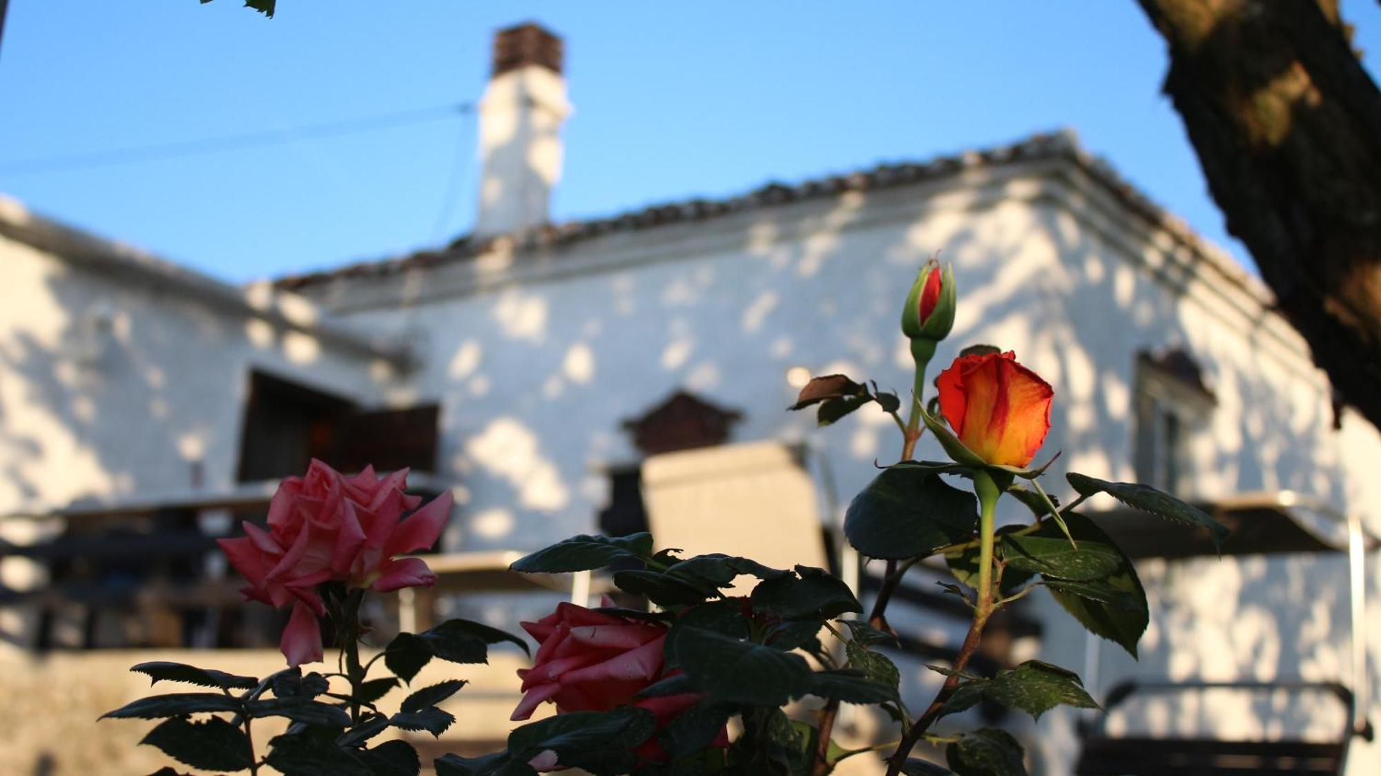 "Per Mik" Cottage In Vineyard Shkoder Bagian luar foto