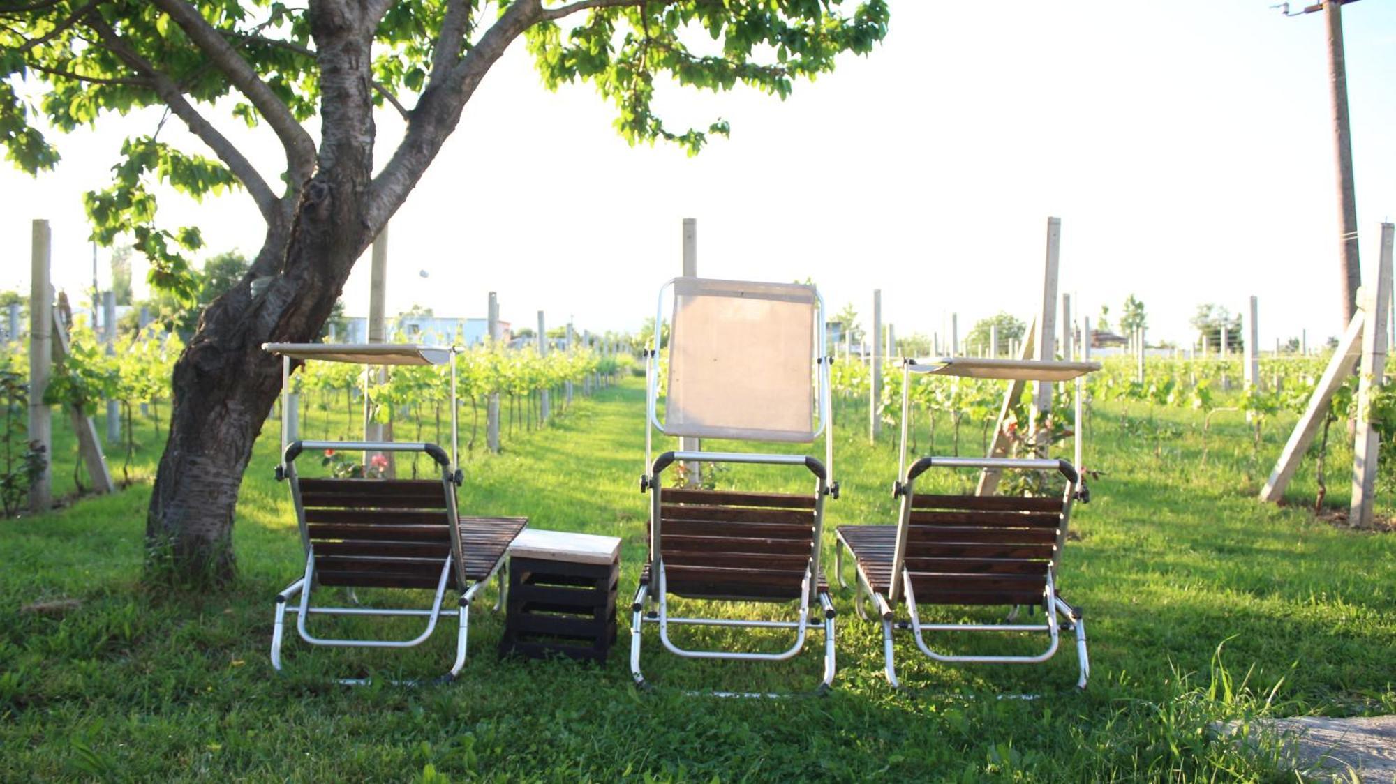 "Per Mik" Cottage In Vineyard Shkoder Bagian luar foto