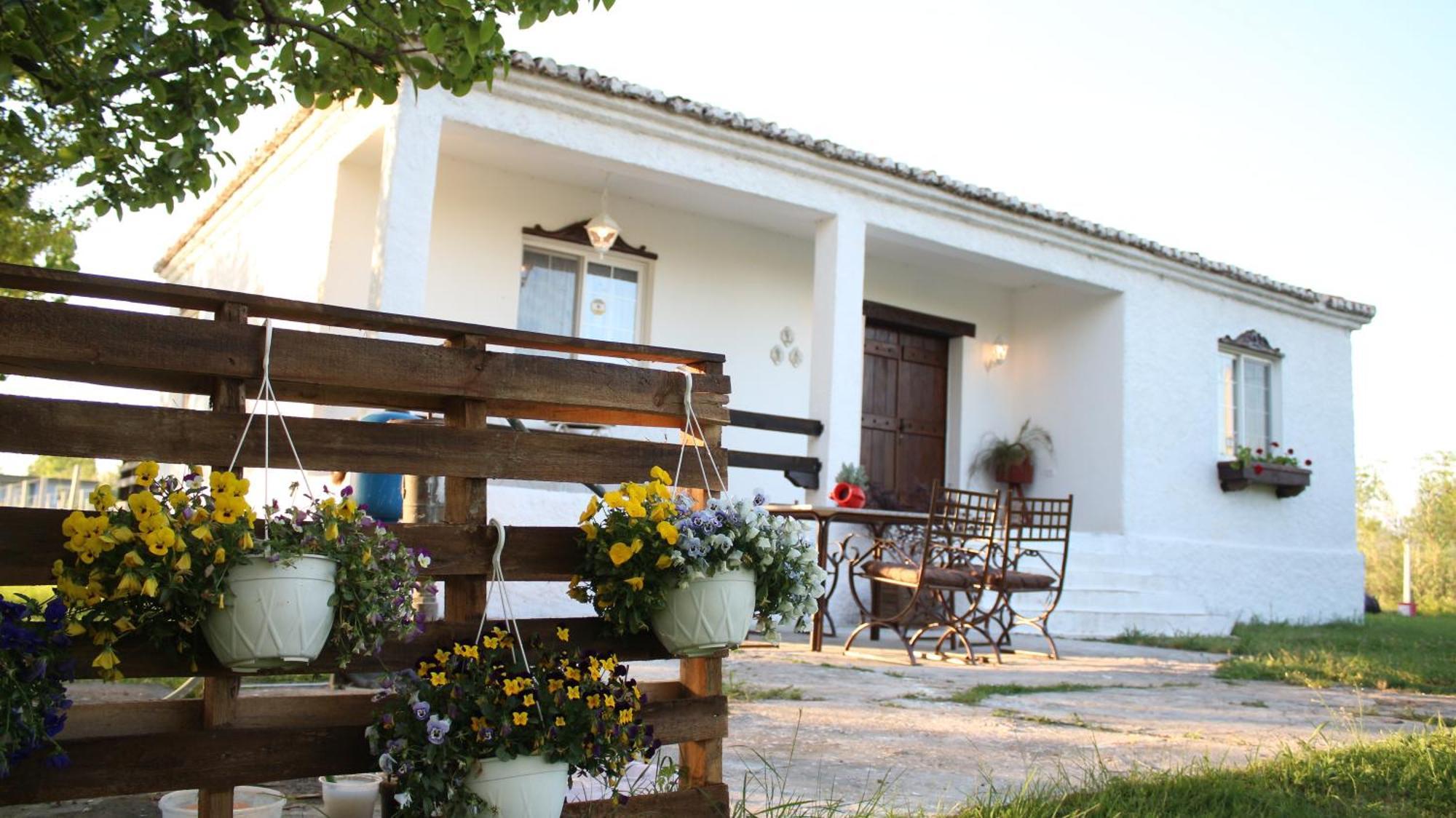 "Per Mik" Cottage In Vineyard Shkoder Bagian luar foto