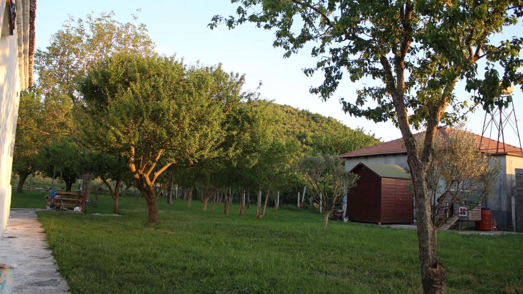 "Per Mik" Cottage In Vineyard Shkoder Bagian luar foto